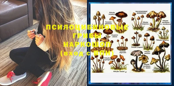 амф Абинск