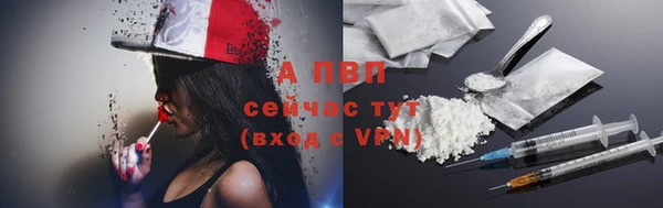 ECSTASY Абаза