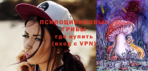 амф Абинск